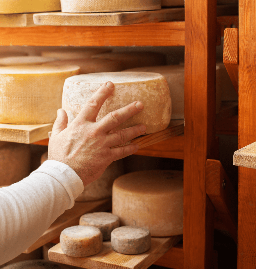 Person's hand putting a wheel of cheese on a shelf